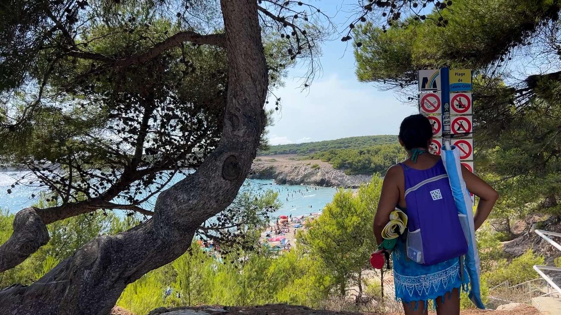 Martigues : « Encore trop de barbecues en forêt », Gaby Charroux fait le bilan de la cellule de veille estivale 2026 