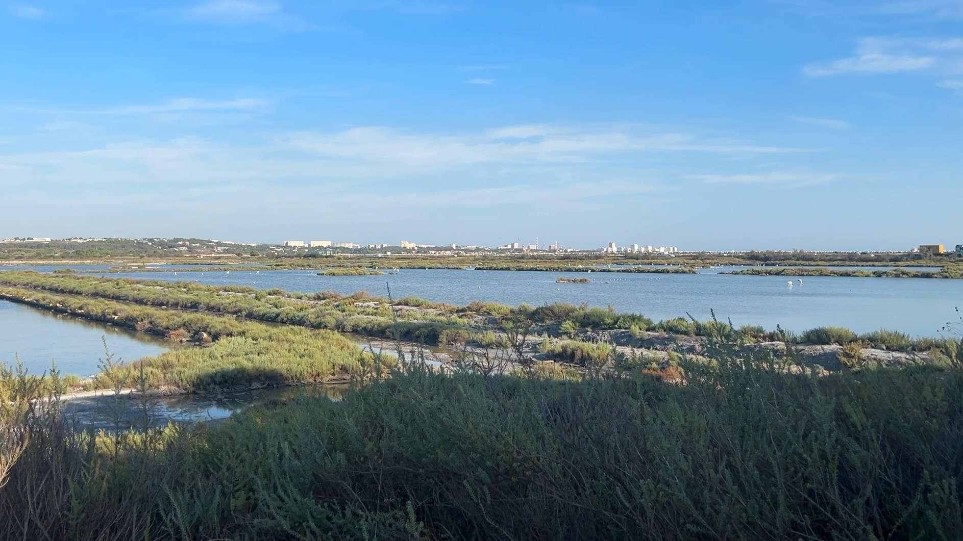 Salins de Fos-sur-Mer : « Un héritage industriel devenu sanctuaire », découvrez les secrets de ce paradis sauvage