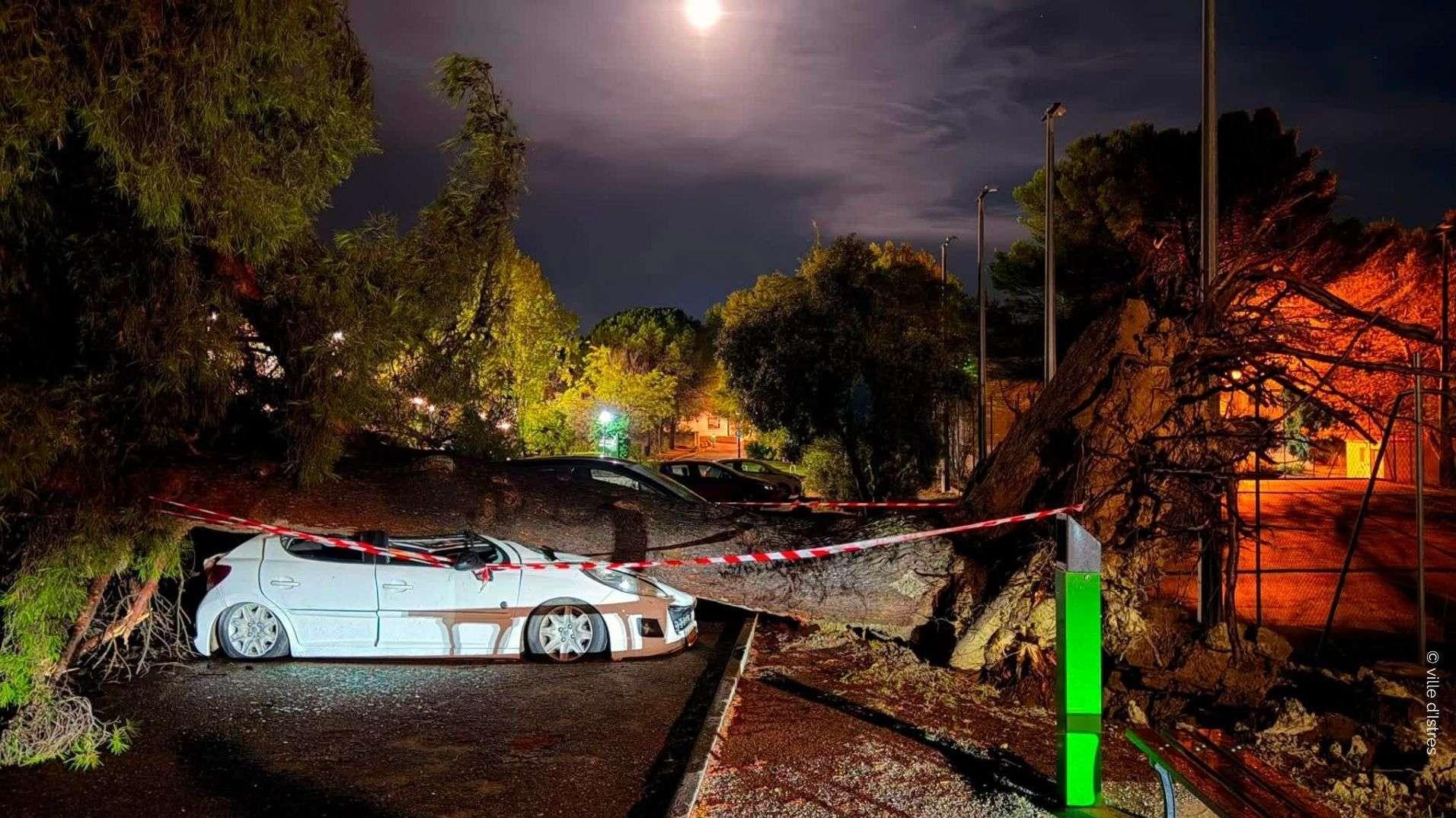 Orages à Istres : rafales records à 120 km/h, arbres déracinés et plages fermées, le bilan complet