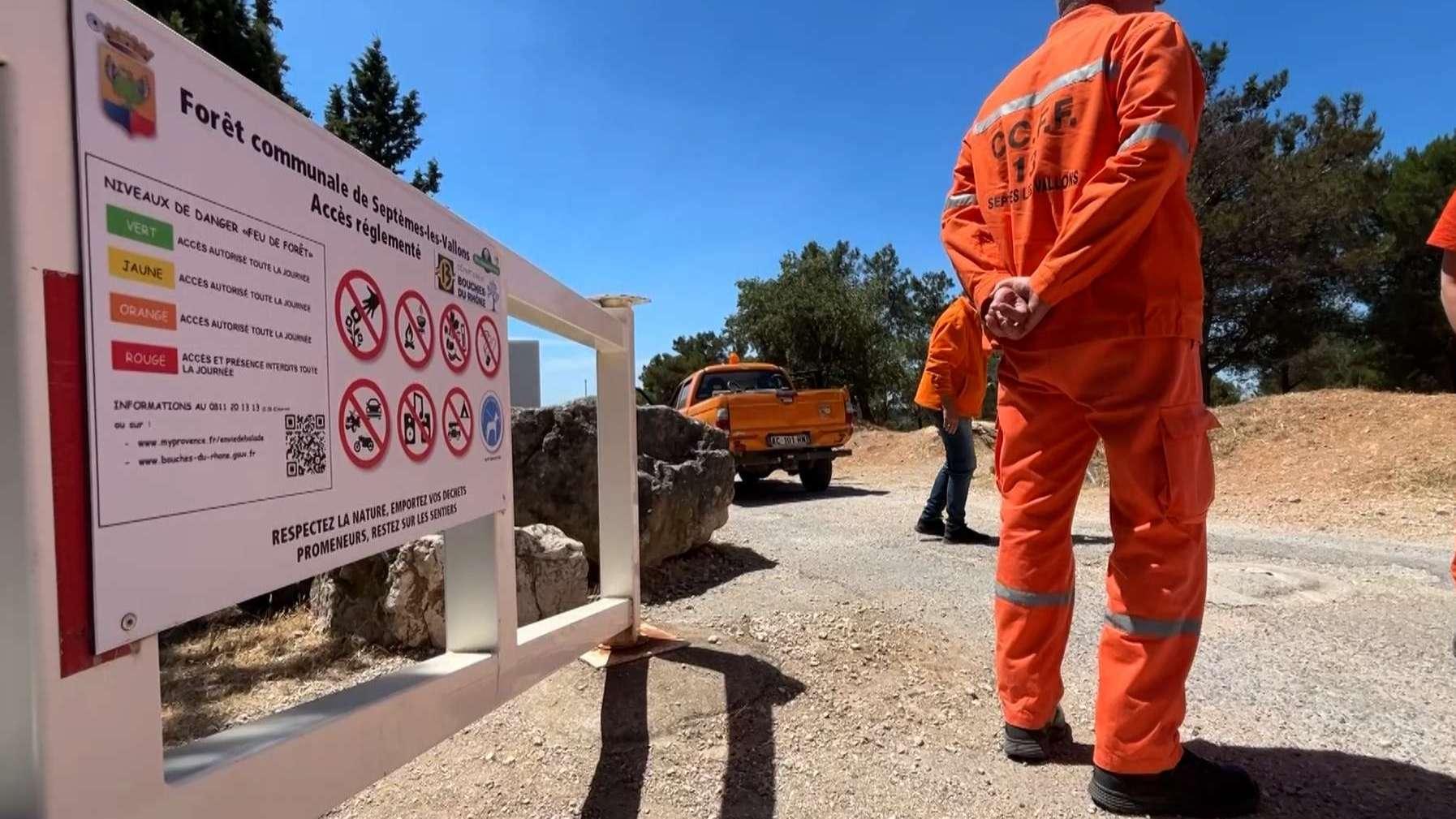 Plus de 3 000 heures au service de nos forêts : le CCFF de Septèmes-les-Vallons lance son appel au recrutement