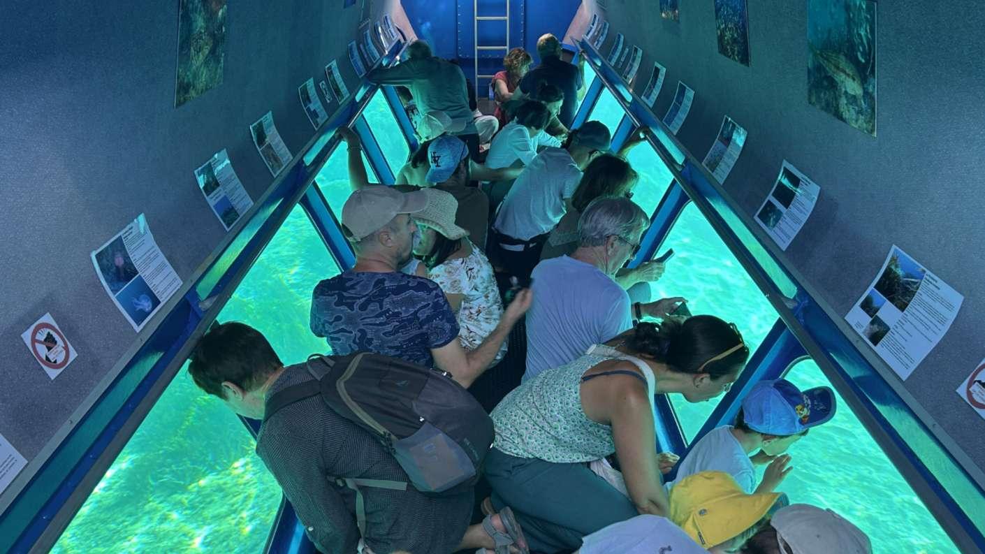 « Pas besoin de passeport » : immersion dans les Calanques de la Côte Bleue avec la famille Piro