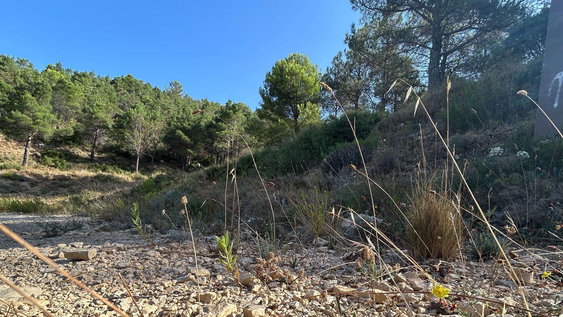 « Je m’attendais à pire. Les deux pluies récentes ont plutôt limité les dégâts » : quel bilan pour les sols après la canicule ?