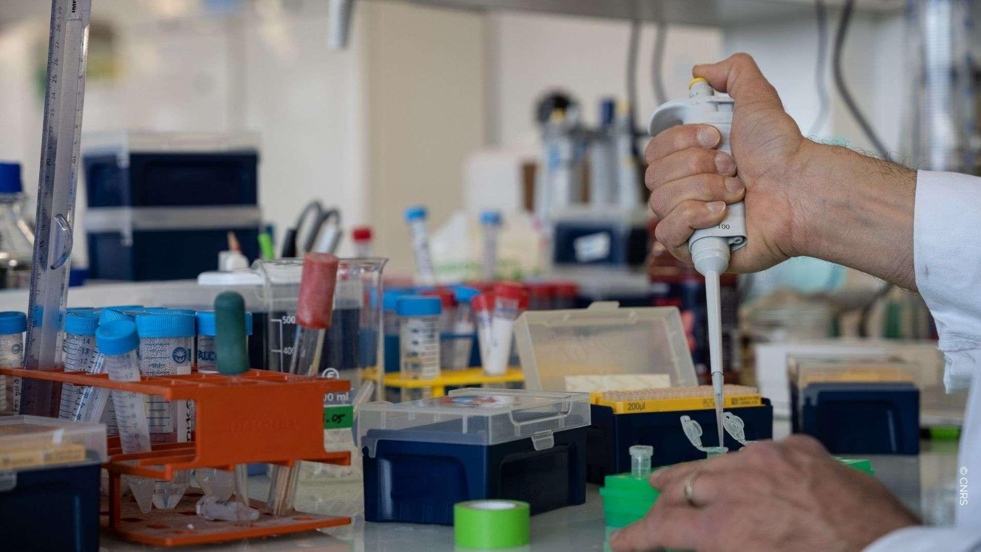 Salle blanche, labo pour bébés et silence absolu… Le CNRS Provence ouvre ses laboratoires pour des "visites insolites"