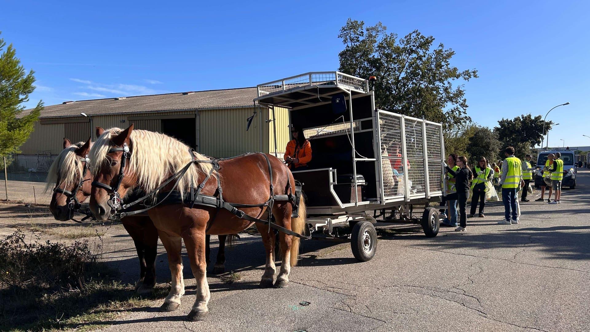 Saint-Martin-de-Crau : des chevaux de trait et une centaines de bras mobilisés pour le World Cleanup Day