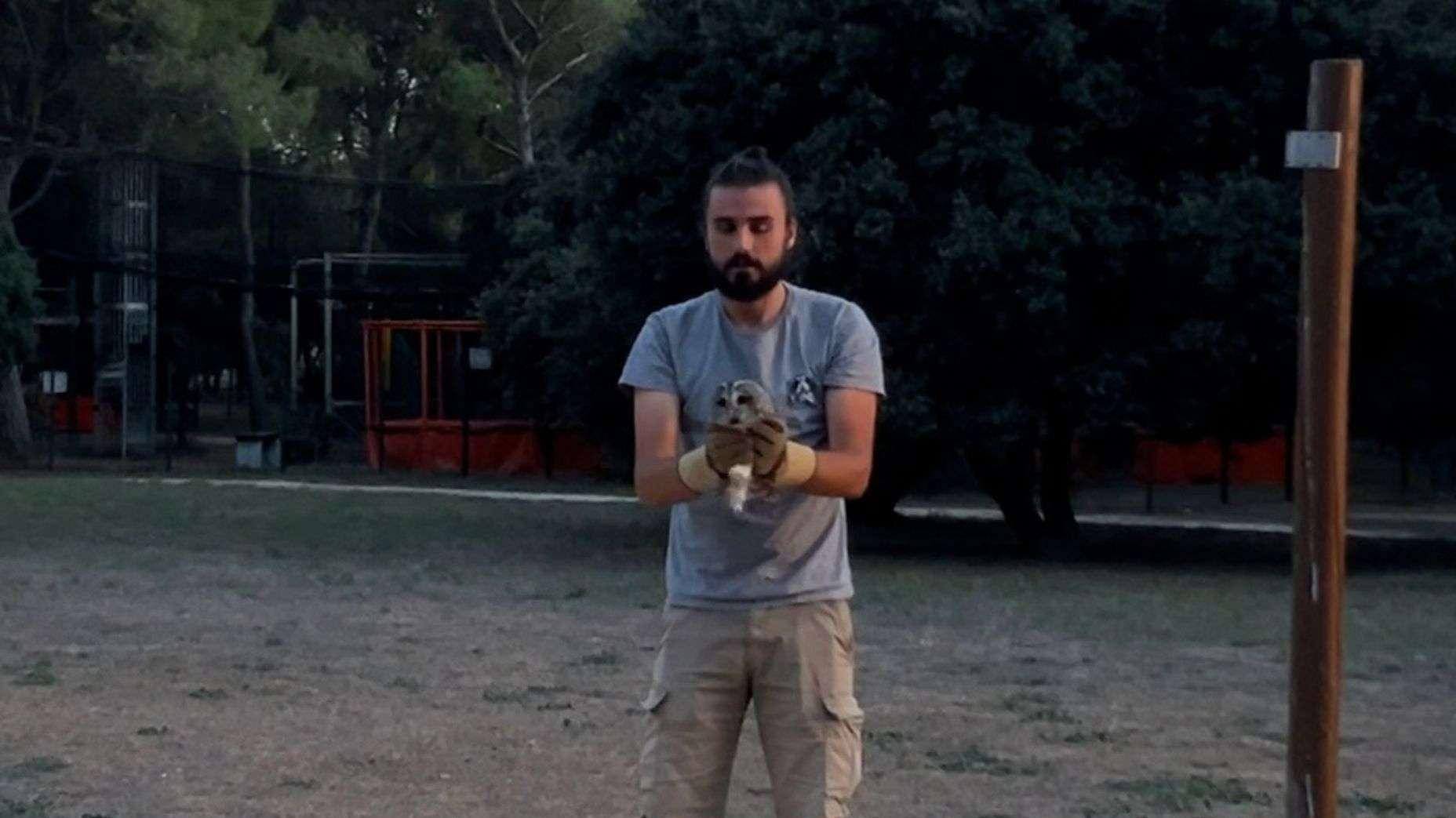 Martigues : une chouette hulotte retrouve la liberté au Parc Figuerolles