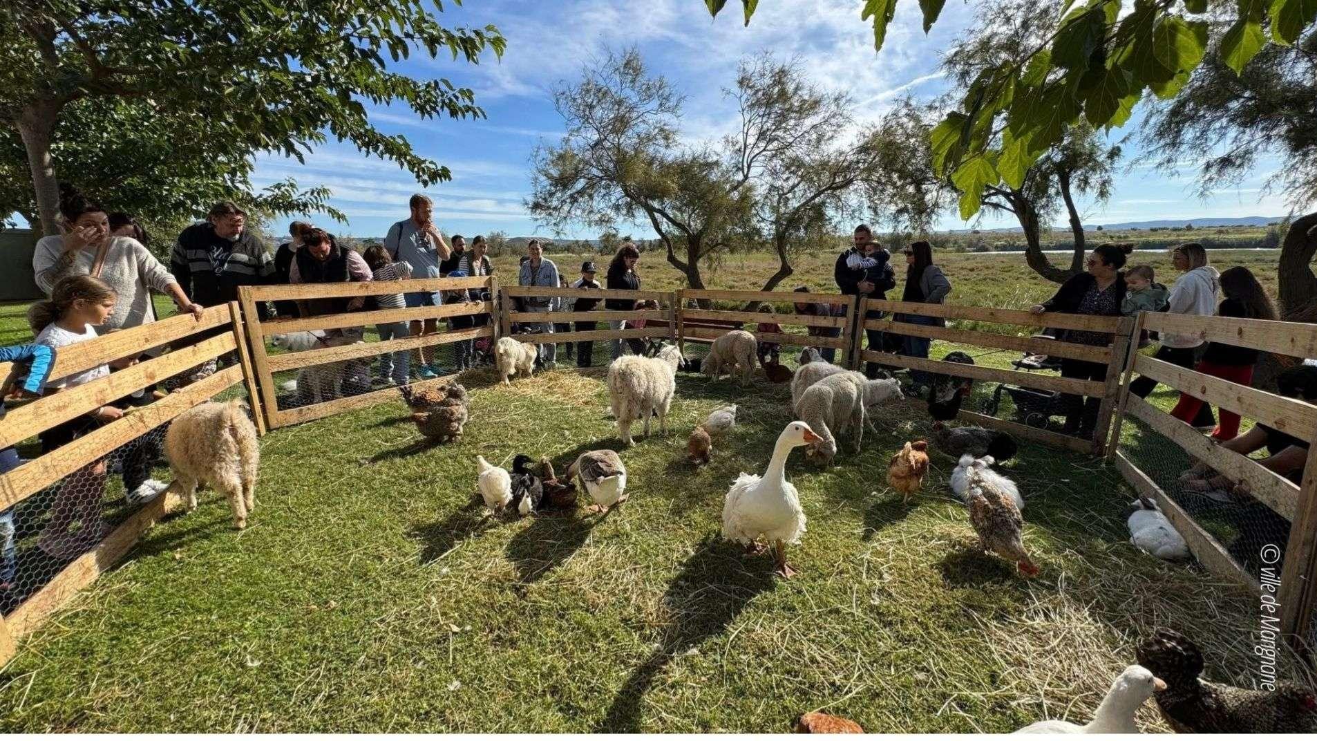 Marignane : ferme pédagogique, ateliers et sauvetage en mer ce samedi pour la journée Marign'Animaux