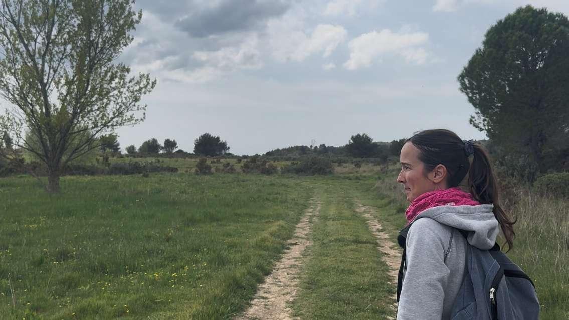Photovoltaïque à Lambesc : le collectif de défense des collines toujours mobilisé