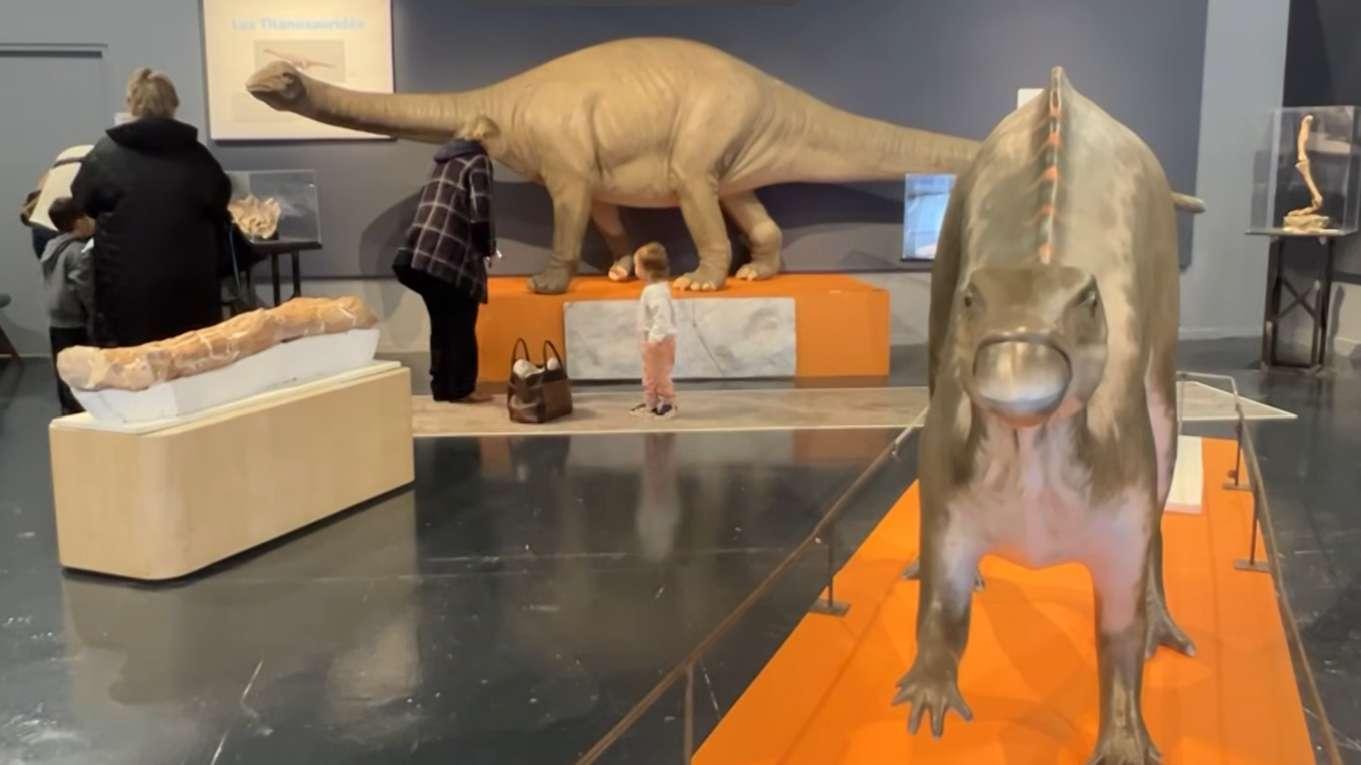 "Les dinosaures en Provence" s'installe au Muséum d'histoire naturelle de Marseille