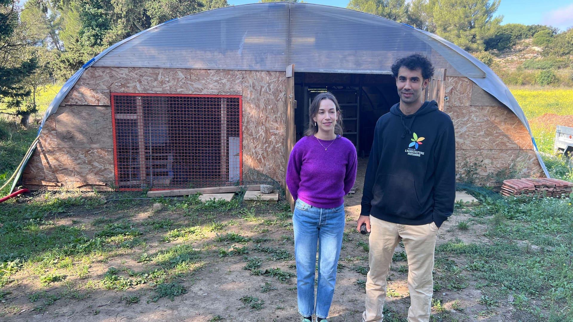 Miramas : le domaine Saint-Désiré retrouve sa vocation agricole grâce à un couple de passionnés