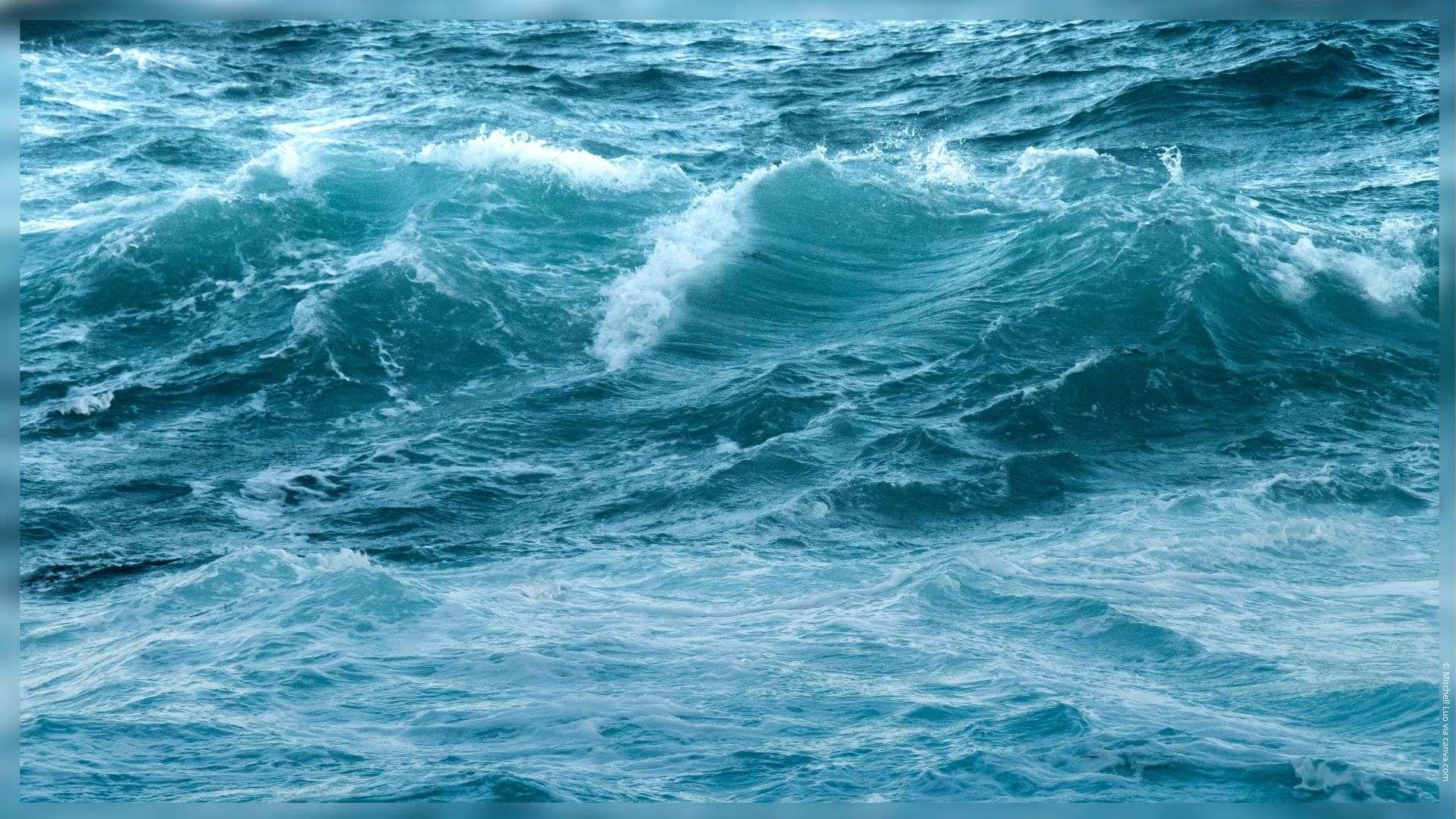 Route du Rhum : « J'en rêvais enfant », le skipper marseillais Mathieu Claveau prêt à défier l'Atlantique
