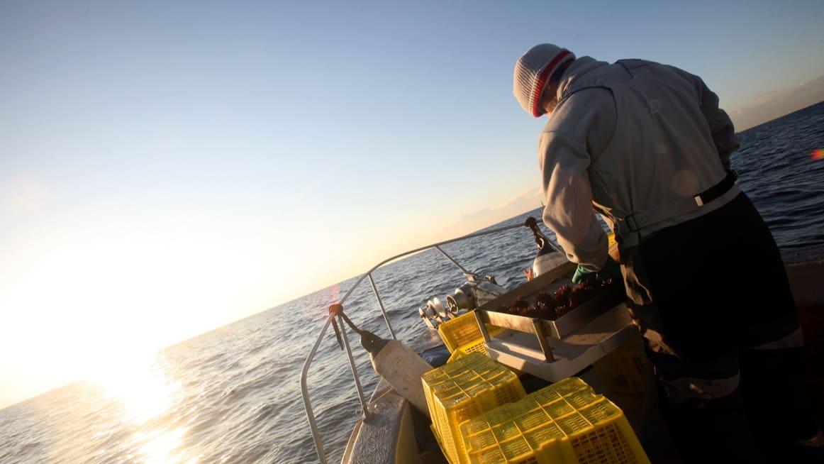 Les pêcheurs mobilisés en Méditerranée, "un ras-le-bol général"