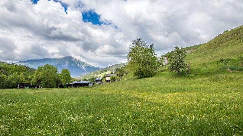Affaire Emile : 106 prélèvements ADN réalisés sur des habitants et visiteurs des environs du hameau