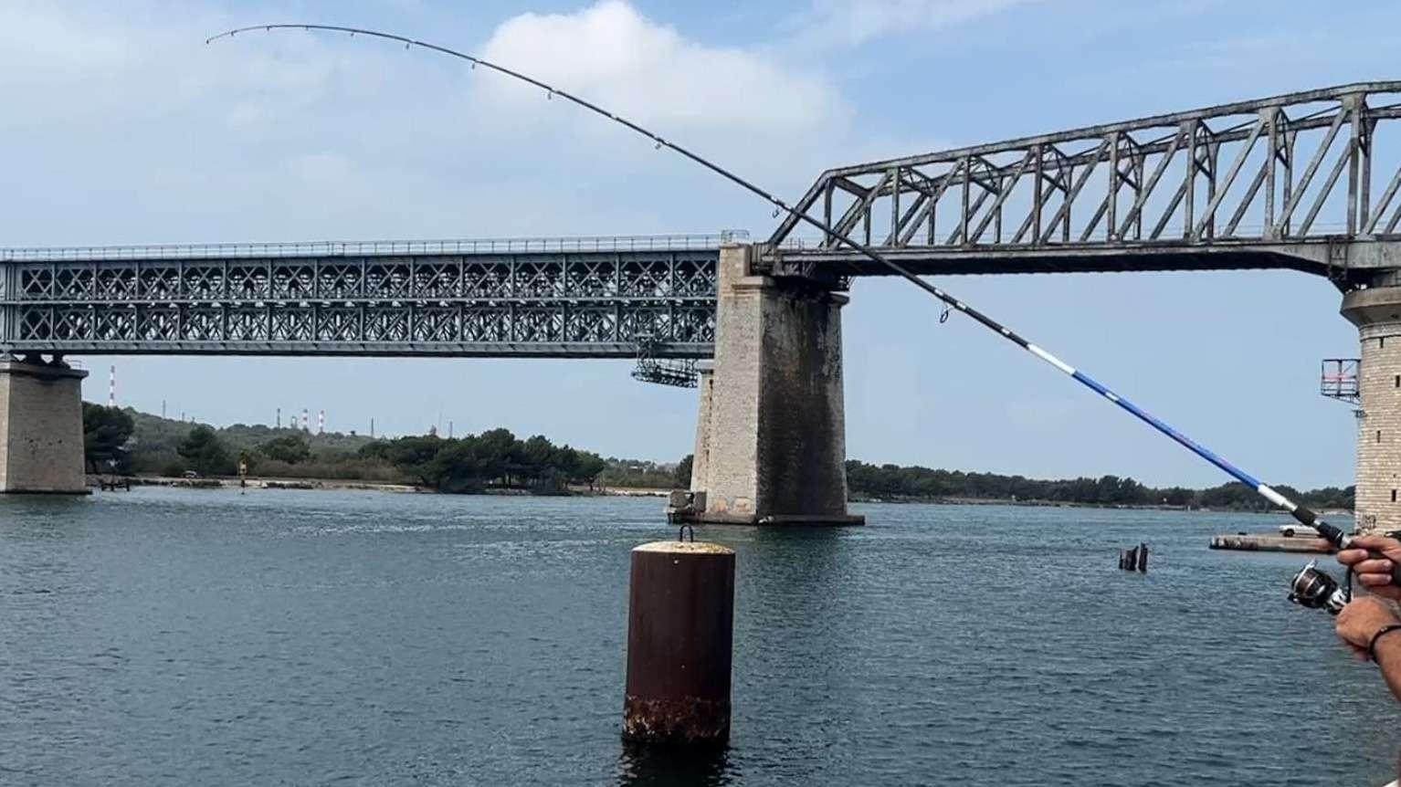 Découverte macabre à Martigues : le corps d'une femme retrouvé dans le canal de Caronte