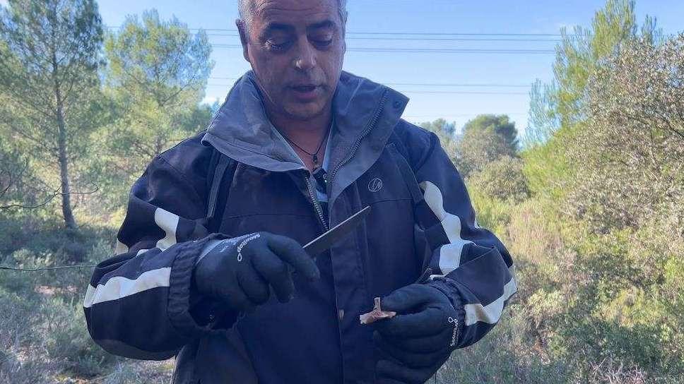 Cueillette de champignons: la saison est lancée, attention aux intoxications