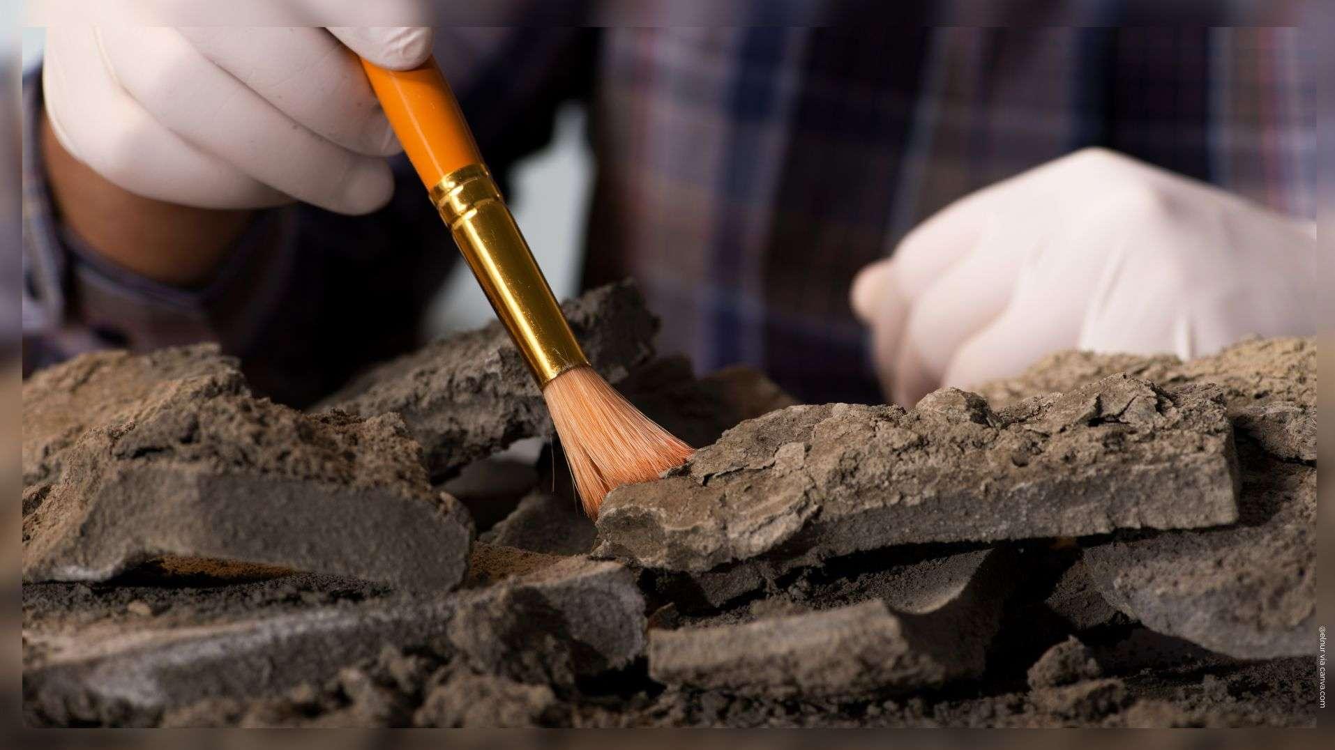 Succès fou pour la villa romaine de Fuveau : les portes ouvertes de dimanche affichent complet